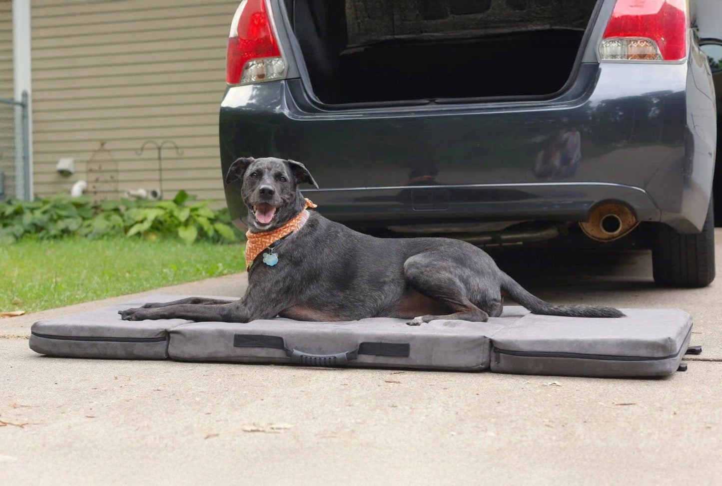 Fold-N-Go Travel Dog Bed