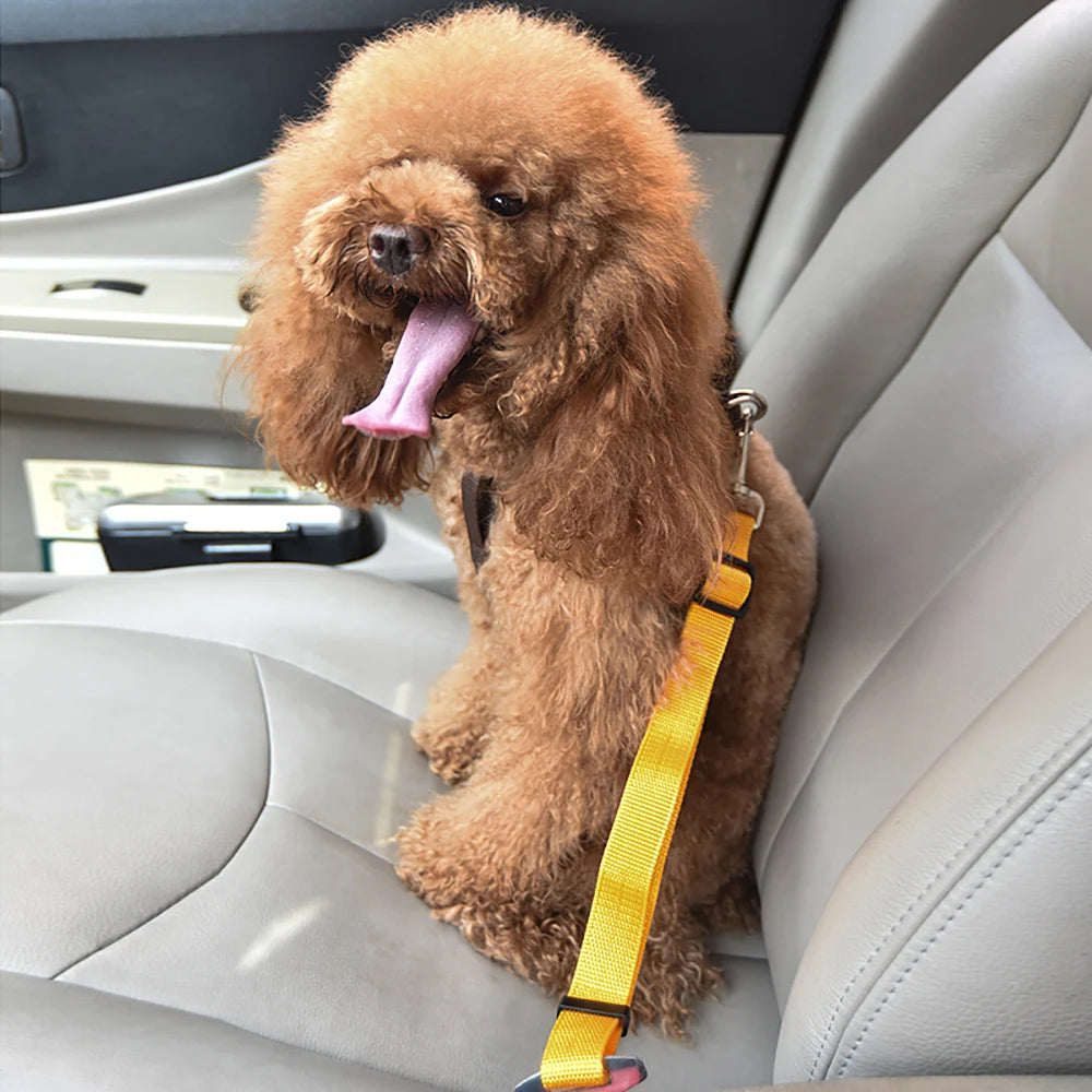 Adjustable Dog Cat Car Safety Belt Pet Vehicle Seat Belt Leash for Dogs Travel Traction Collar Harness Dog Lead Clip Pet Product