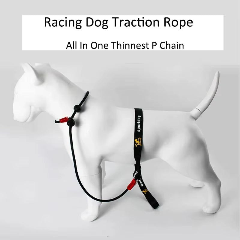 Training Dog Choking Rope Leash 2 in 1 Lead Collar 150Cm P-Shaped Chain Slip Lead Control Leash for Small Large Competition Dogs
