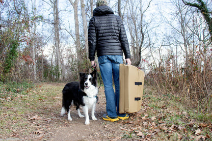 Fold-N-Go Travel Dog Bed