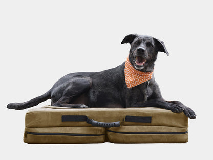 Fold-N-Go Travel Dog Bed