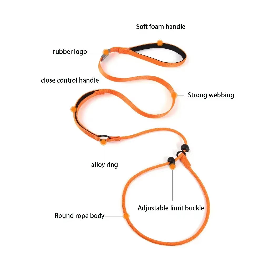 Nylon Slip Lead Dog Slip Leash and Collar Dog Training Leash with Double Handle Heavy Duty Dog Lead No Pull Puppy Walking Leash
