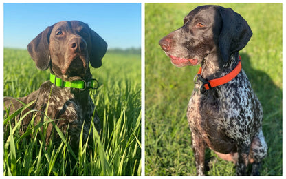 Dog Leash Dog Collar PVC Waterproof Dog Lead Leashes anti Dirty Easy to Clean for Big Small Dogs Puppy Collar Leash Pet Products