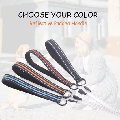 Chew Proof Dog Leash 4Ft Steel Cable Dog Lead with Reflective Soft Padded Handle Sturdy Waterproof Dog Leashes Puppy Rope