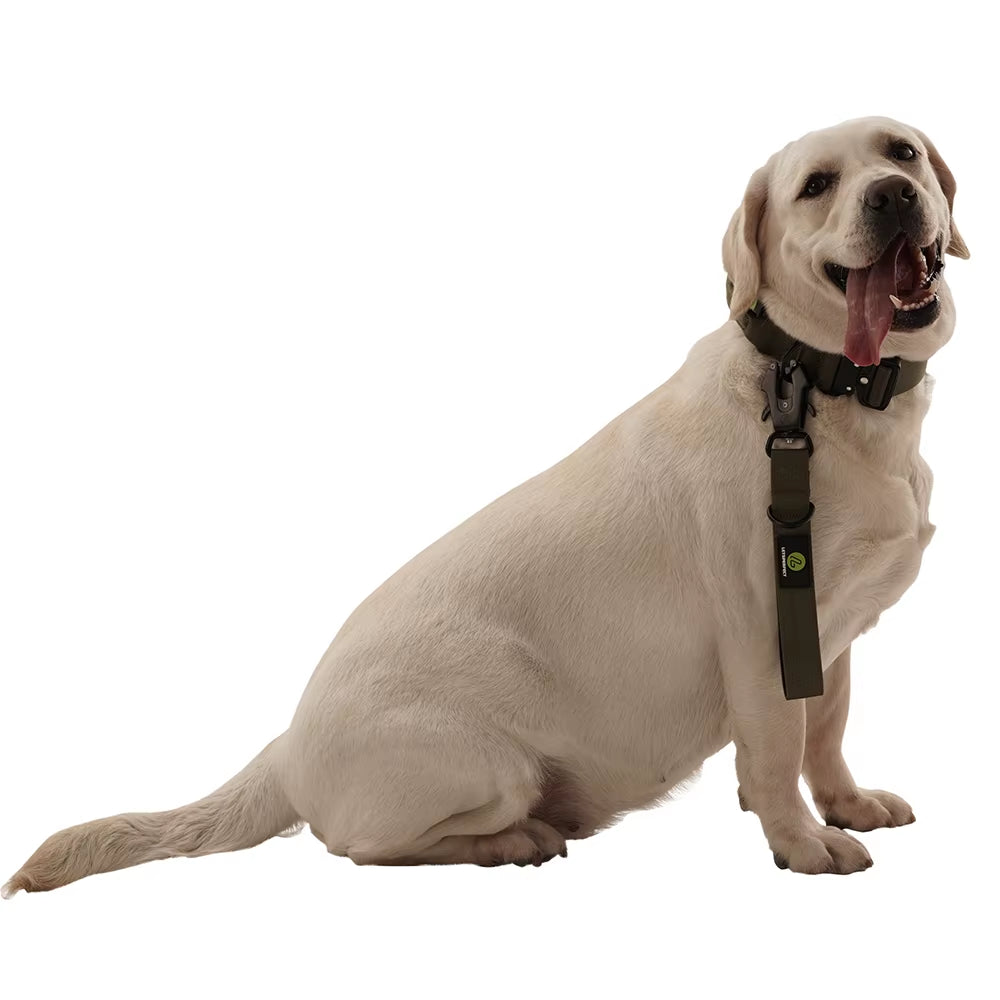 Short Dog Leash Traffic Padded Handle Heavy Duty Short Nylon Dog Lead for Training Control Reflective Threads Pet Leash