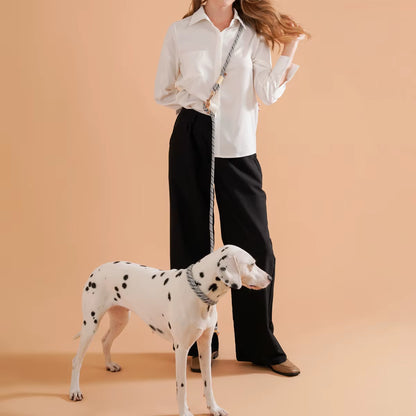 Pet Dog Lead Rope Simple Trendy Style Collar P Leashes for Small Medium and Large Dogs Bulldog Alaskan Malamute Corgi Teddy Dog