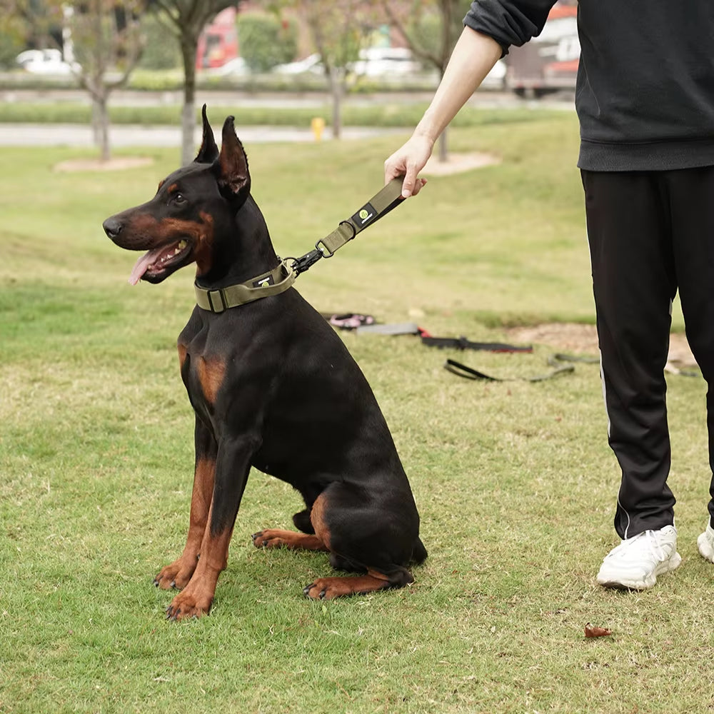 Short Dog Leash Traffic Padded Handle Heavy Duty Short Nylon Dog Lead for Training Control Reflective Threads Pet Leash