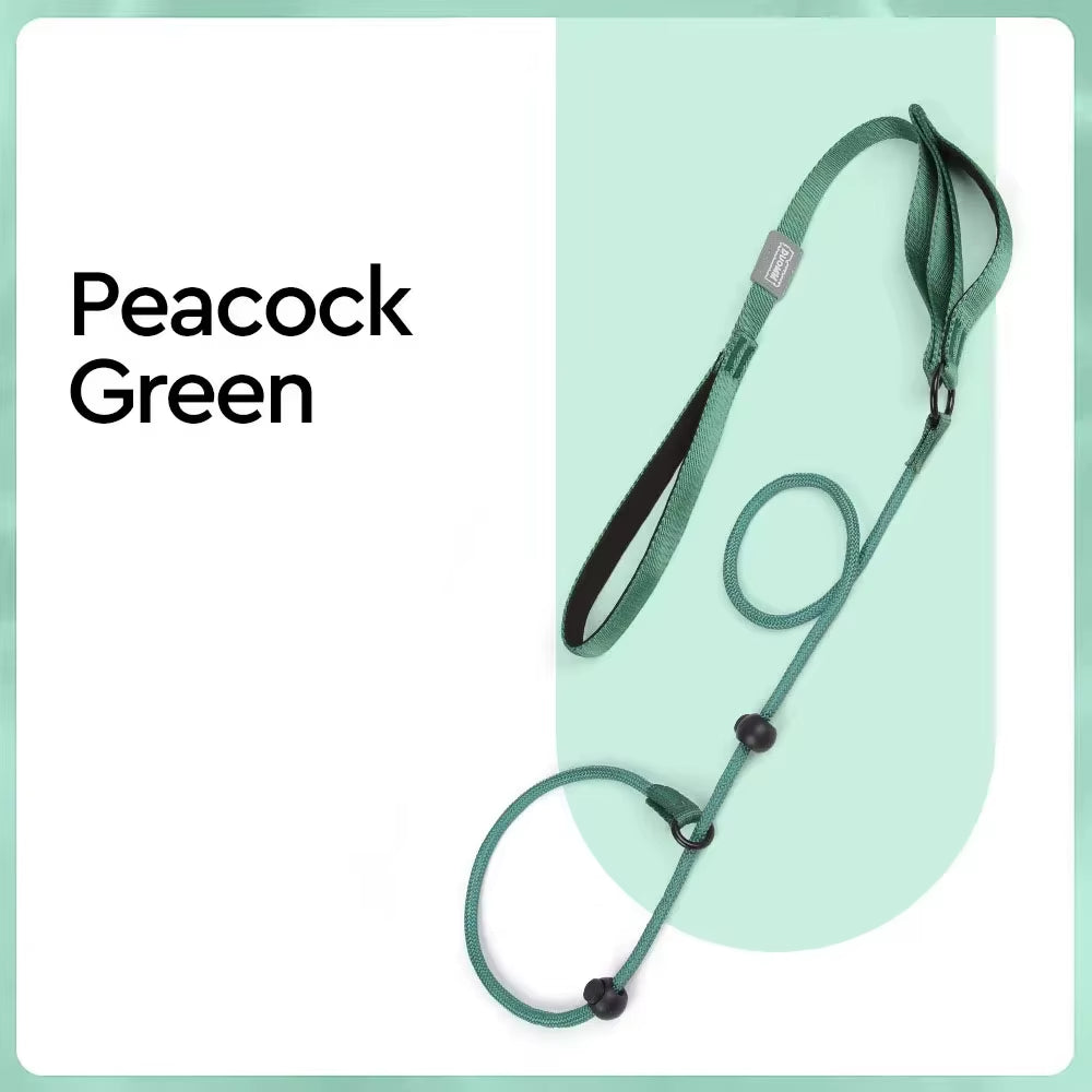 Nylon Slip Lead Dog Slip Leash and Collar Dog Training Leash with Double Handle Heavy Duty Dog Lead No Pull Puppy Walking Leash