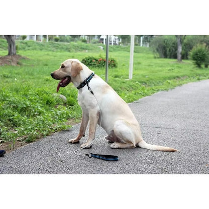 Chew Proof Dog Leash 4Ft Steel Cable Dog Lead with Reflective Soft Padded Handle Sturdy Waterproof Dog Leashes Puppy Rope