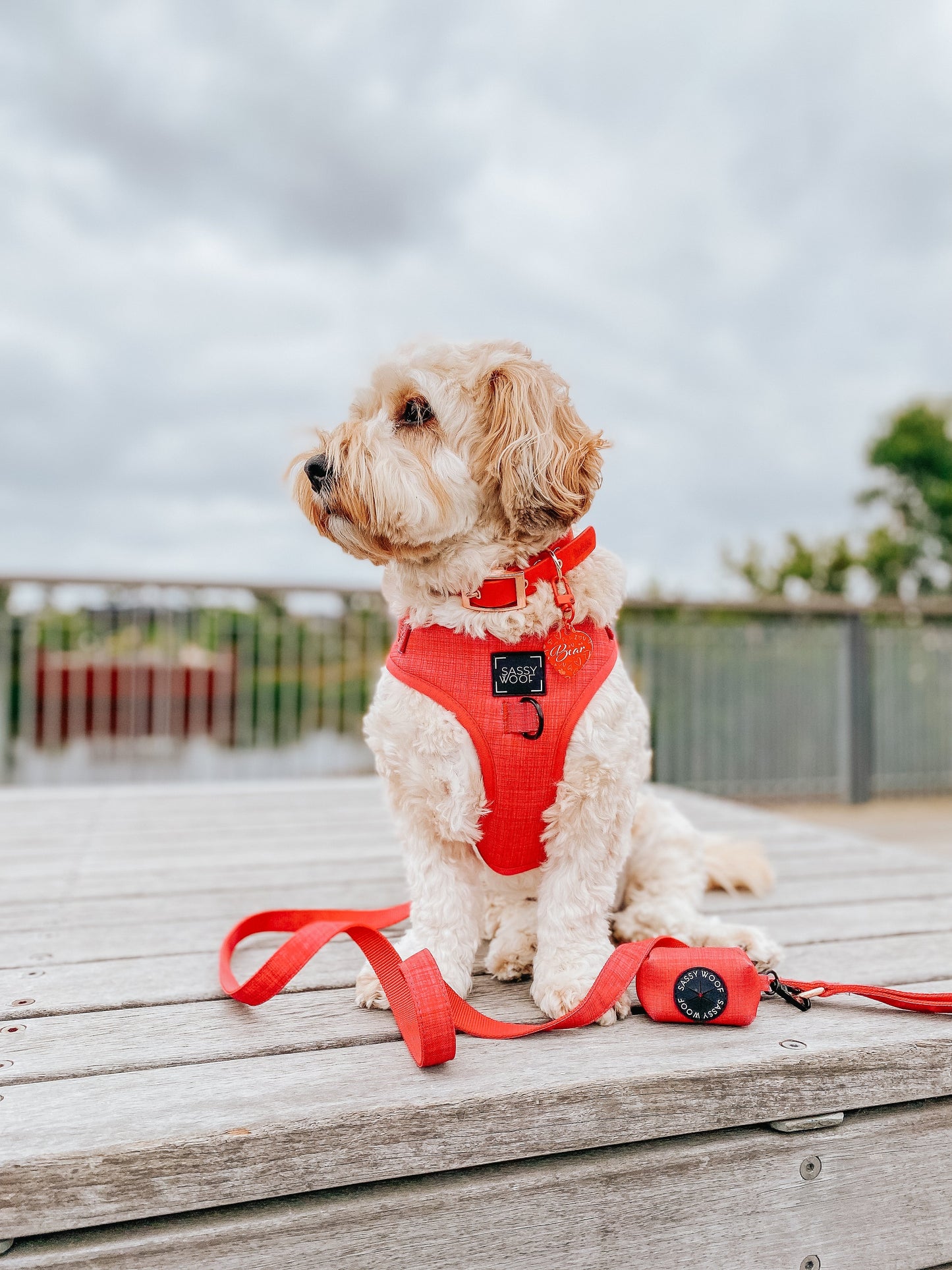 Dog Four Piece Bundle - Merlot