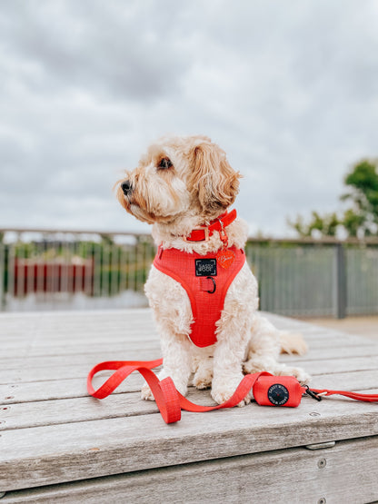 Dog Four Piece Bundle - Merlot