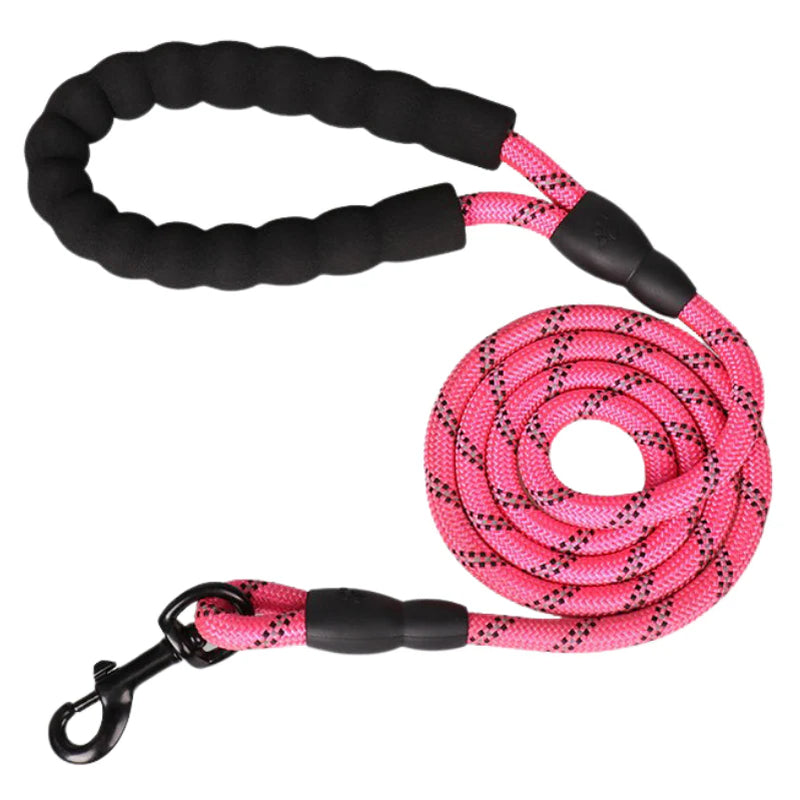 5Ft Dog Lead