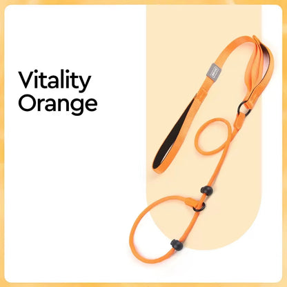 Nylon Slip Lead Dog Slip Leash and Collar Dog Training Leash with Double Handle Heavy Duty Dog Lead No Pull Puppy Walking Leash