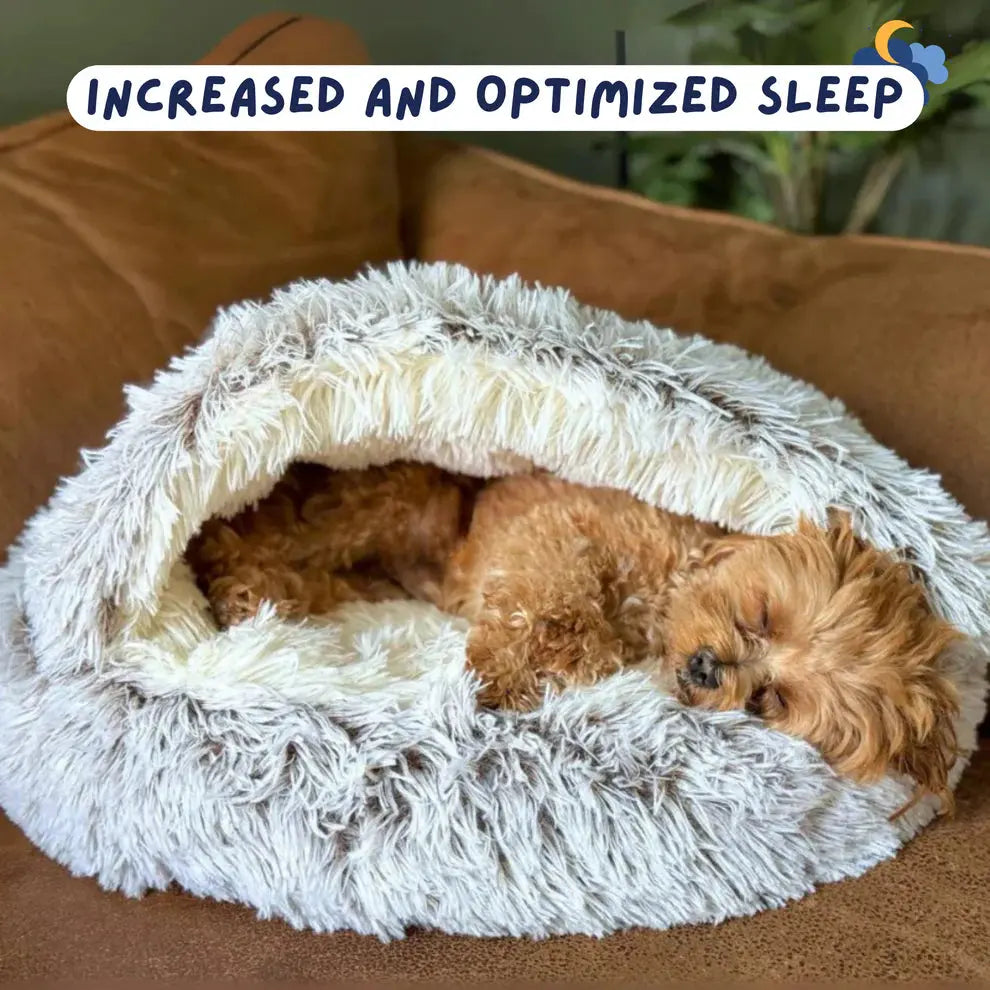 Burrowing Dog Bed