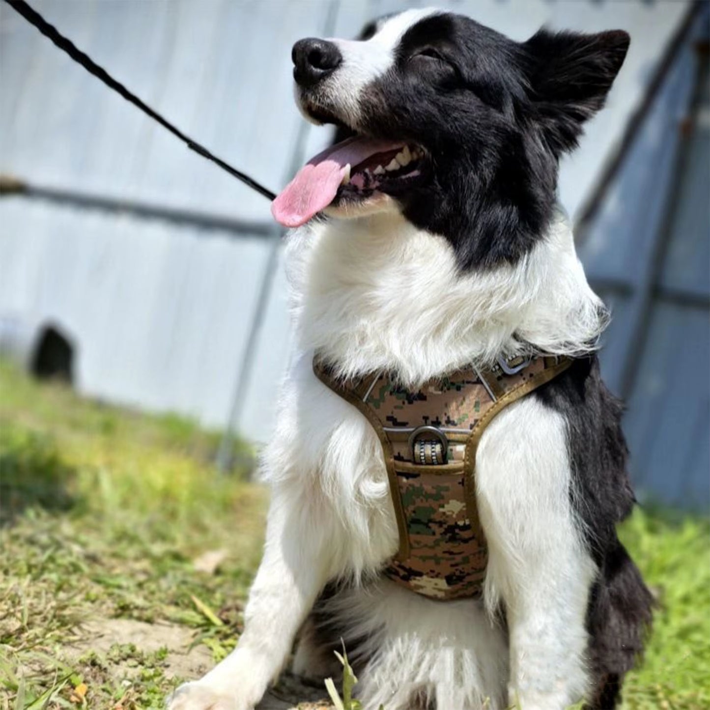 Dog Harness No Pull Vest Dog Harness for Training Adjustable Collar for Medium Large Outdoor Rescue Hunting Tasks Search Running