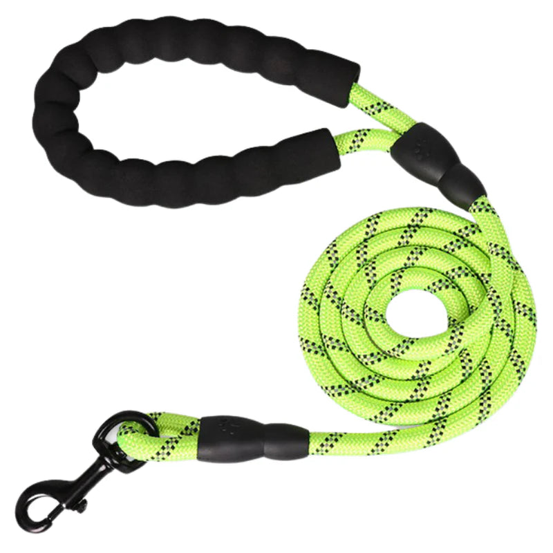 5Ft Dog Lead
