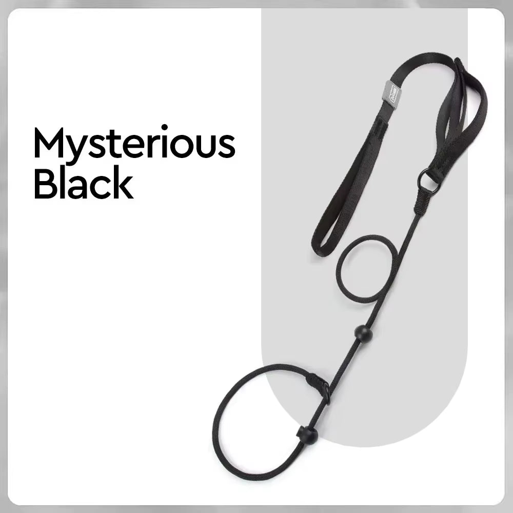 Nylon Slip Lead Dog Slip Leash and Collar Dog Training Leash with Double Handle Heavy Duty Dog Lead No Pull Puppy Walking Leash